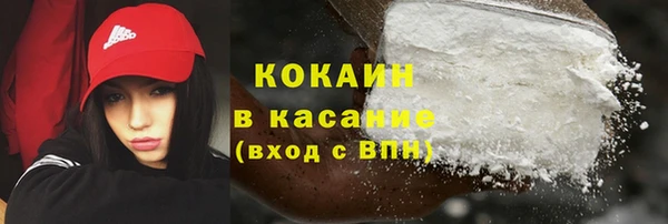 сатива Балахна