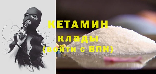 сатива Балахна