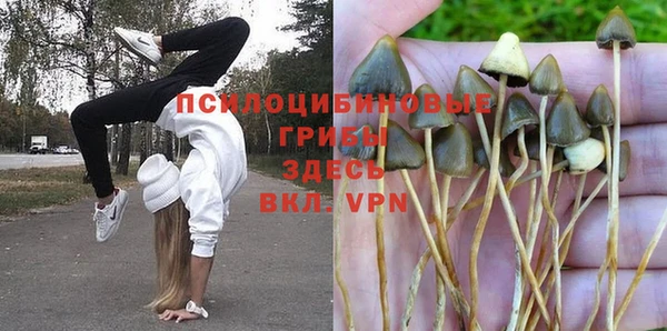 PSILOCYBIN Балабаново