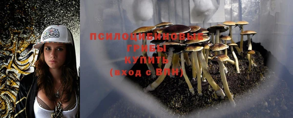 сатива Балахна