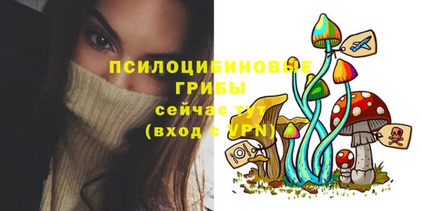бутик Няндома